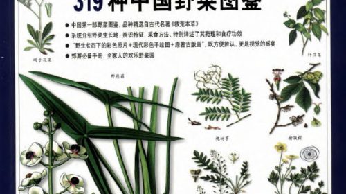 【废土生存计划】中国的野菜图鉴【319种】